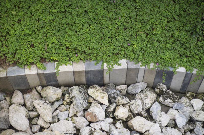 Backyard Curbing