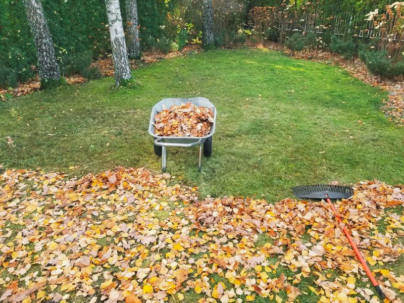 Backyard Curbings in Fall
