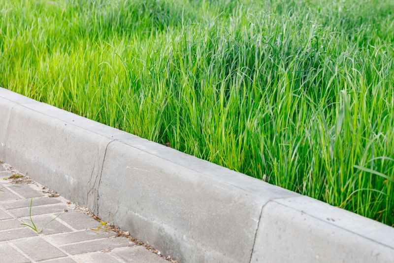 How Concrete Curbing Helps Define Landscape Borders